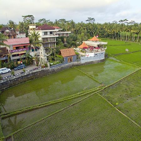 Ubud Kartini Hostel المظهر الخارجي الصورة