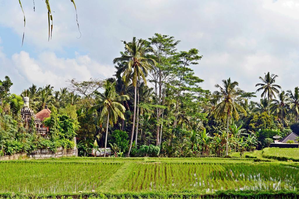 Ubud Kartini Hostel المظهر الخارجي الصورة