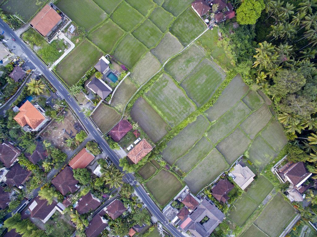 Ubud Kartini Hostel المظهر الخارجي الصورة